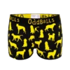 Dogs Trust - Ladies Boxers 2 Dogs Trust - Ladies Boxers -Sports Bra Store DOGS TRUST L. BOXER FRONT min