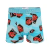 Dragons - Teal - Teen Boys Boxer Shorts 2 Dragons - Teal - Teen Boys Boxer Shorts -Sports Bra Store DRAGONSTEALFRONT2020M.BOXERCORRECTWEBSITESIZEDIMAGES 9e43b128 78db 4c76 b9c6 d26e1f55988c