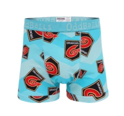 Dragons - Teal - Teen Boys Boxer Shorts