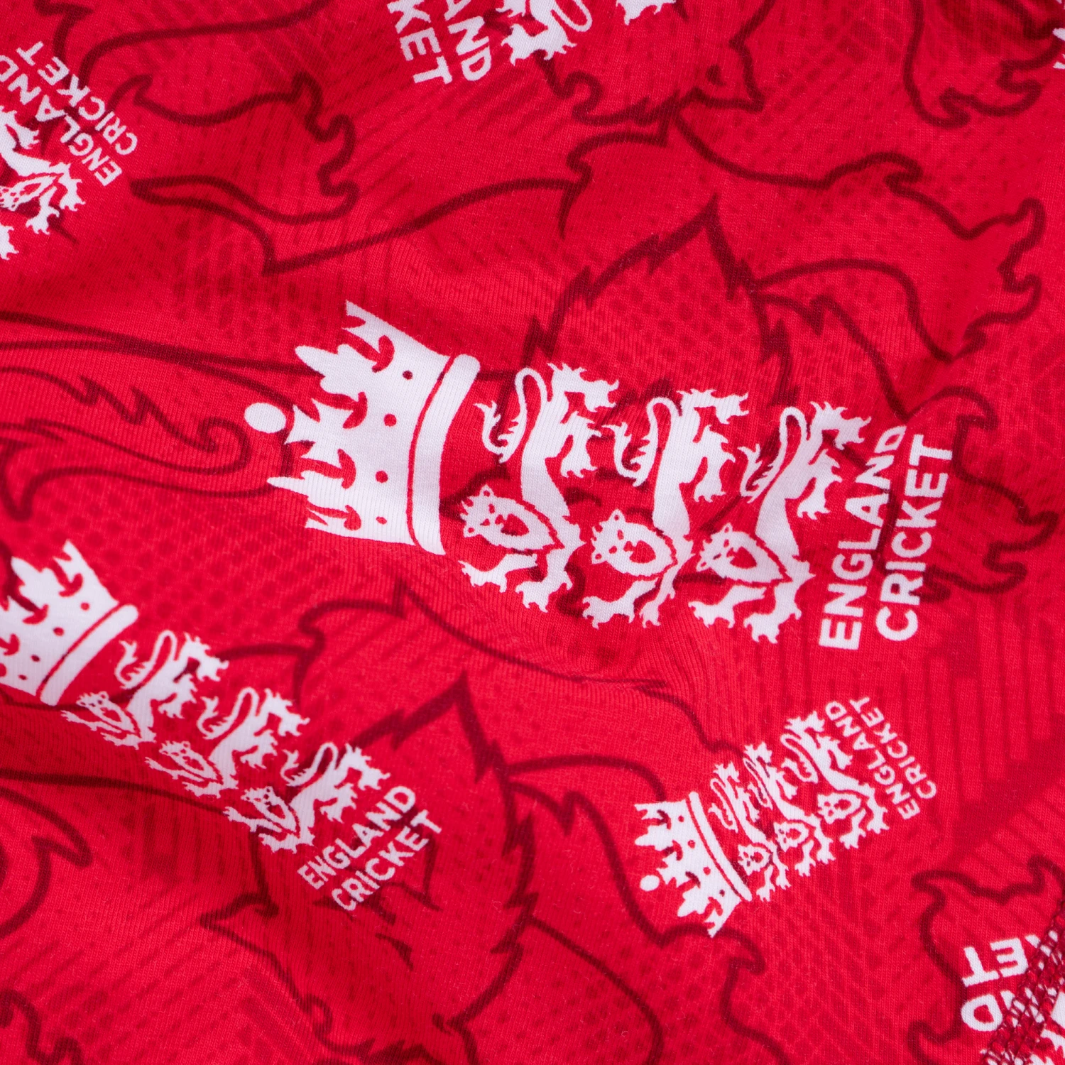 ECB T20 - Teen Boys Briefs 6 ECB T20 - Teen Boys Briefs - Image 4