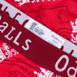 ECB T20 - Teen Boys Boxer Shorts -Sports Bra Store ECB RED WAISTBAND DETAIL min 82f919e1 4916 4bf7 8250 72208901dfaa