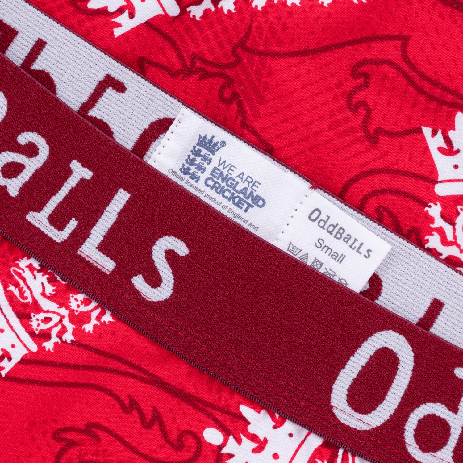 ECB T20 - Teen Boys Briefs 5 ECB T20 - Teen Boys Briefs - Image 3