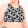 Fat Cow - Sports Bra -Sports Bra Store FAT COW BRA FRONT min