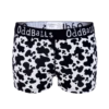 Fat Cow - Ladies Boxers -Sports Bra Store FAT COW L. BOXER FRONT min