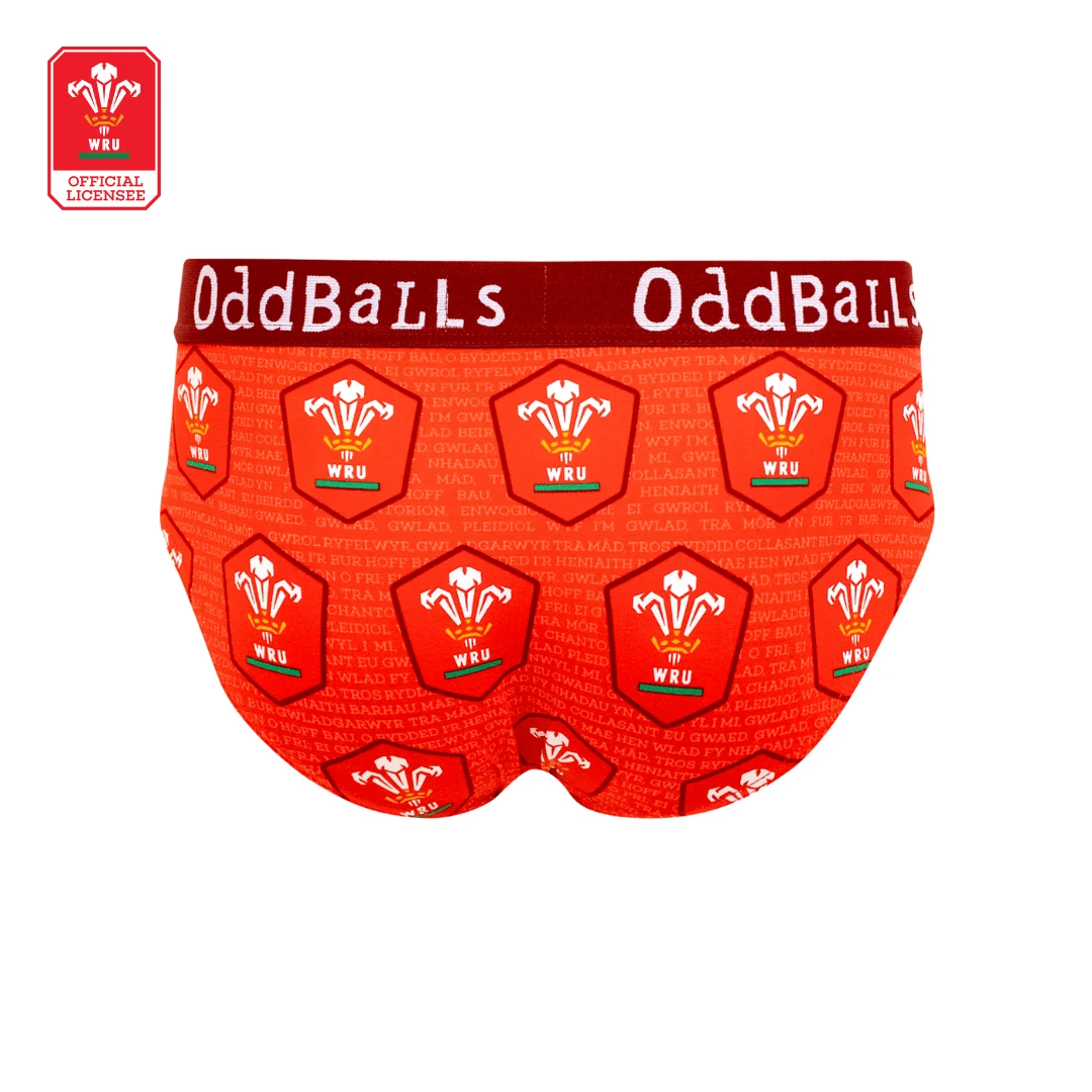 Welsh Rugby Union - Home - Mens Briefs 4 Welsh Rugby Union - Home - Mens Briefs - Image 2