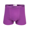 Purple & Black - Teen Boys Boxer Shorts 2 Purple & Black - Teen Boys Boxer Shorts -Sports Bra Store PURPLE BLACK M.BOXER FRONT 0f38f958 898f 4ae0 811b e26768ca82c3