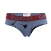 RAF Benevolent Fund - Ladies Briefs 1 RAF Benevolent Fund - Ladies Briefs -Sports Bra Store RAFBEN2FRONT2020L.BRIEFCORRECTWEBSITESIZEDIMAGES