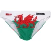 Wales - Swimming Briefs -Sports Bra Store WALESFRONTSWIMMERS WEBSITE SIZE