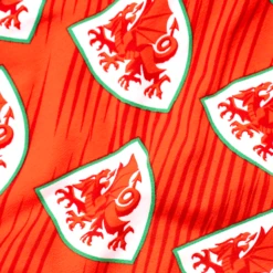 FA Wales - Home - Ladies Boxers -Sports Bra Store WELSH FA FABRIC DETAIL min a546c746 f10e 4e5b bd43 e5ea5674d810