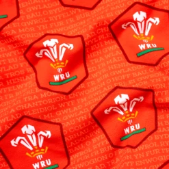Welsh Rugby Union - Home - Mens Briefs 9 Welsh Rugby Union - Home - Mens Briefs -Sports Bra Store WRU HOME FABRIC DETAIL min c54ac6e4 c285 49da 880c 80cc6d65fdea