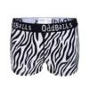 Zebra Crossing - Ladies Boxers -Sports Bra Store ZC L.BOXER FRONT